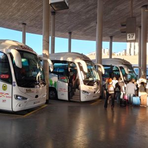 Buses Disponibles Verano 2024